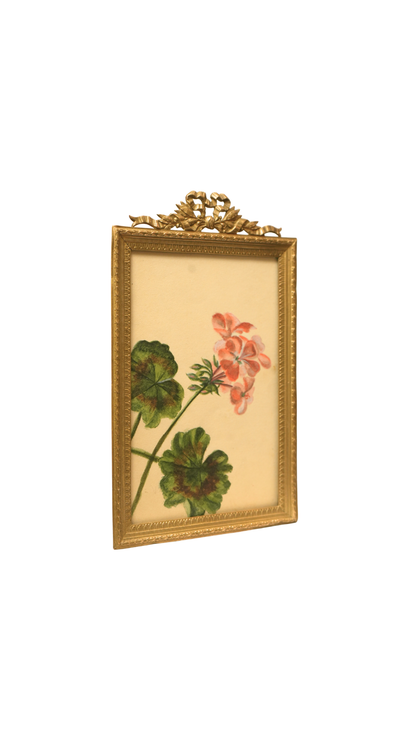 French Geranium Botanical Study in Gilt Frame