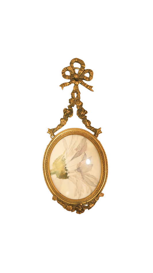 French Daisy Botanical Study in Gilt Ribbon Frame