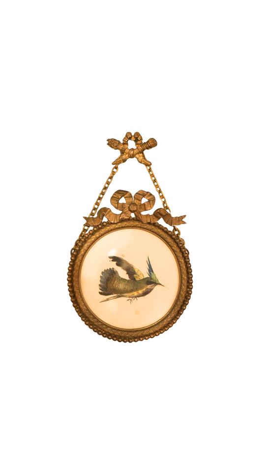 French Hummingbird Study in Hanging Gilt Bow Frame