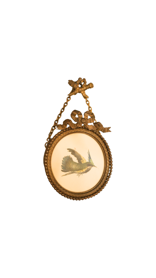 French Hummingbird Study in Hanging Gilt Bow Frame