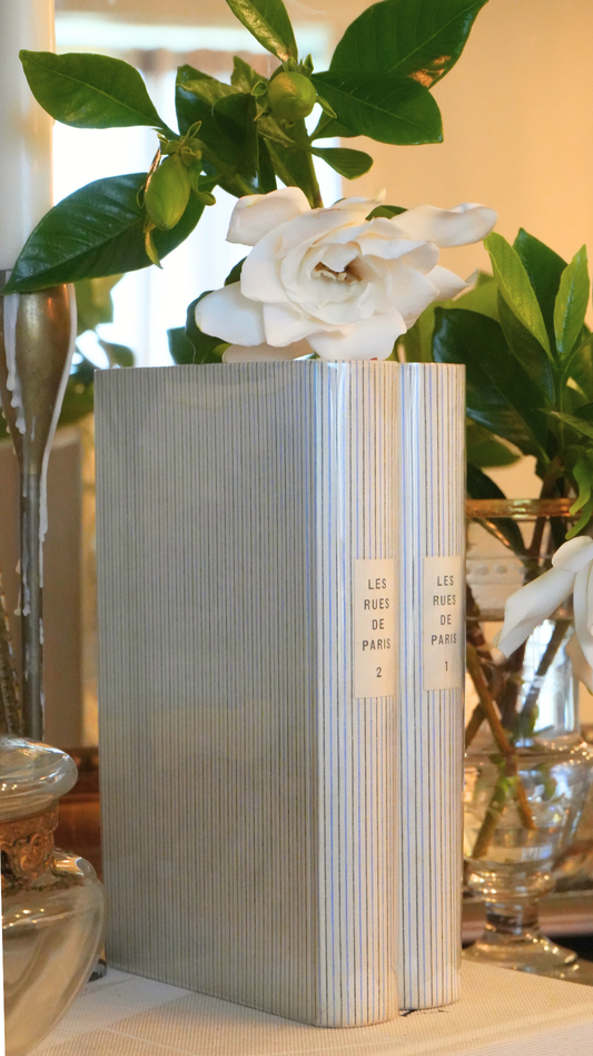 Vintage French Les Rues de Paris Book Set, Volumes I & II