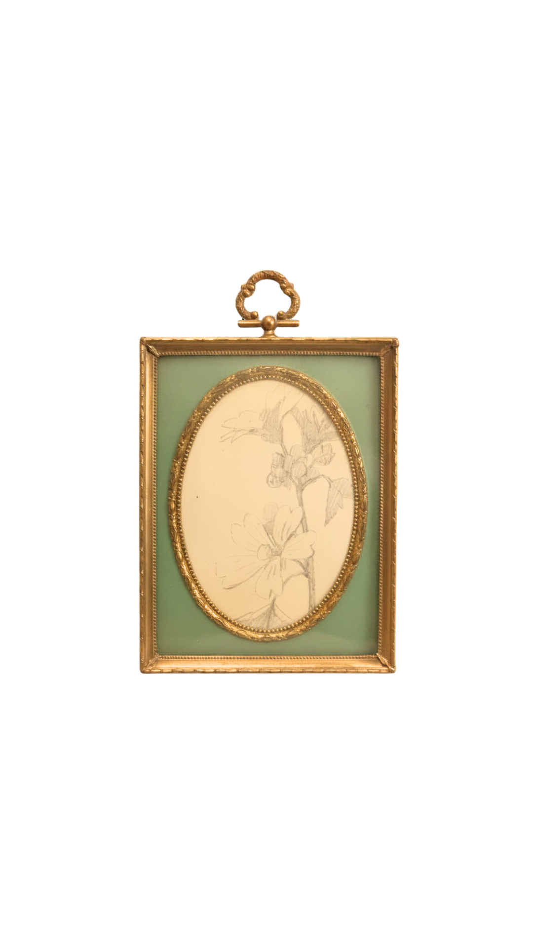 Vintage Frame with Antique French Botanical Pencil Sketch