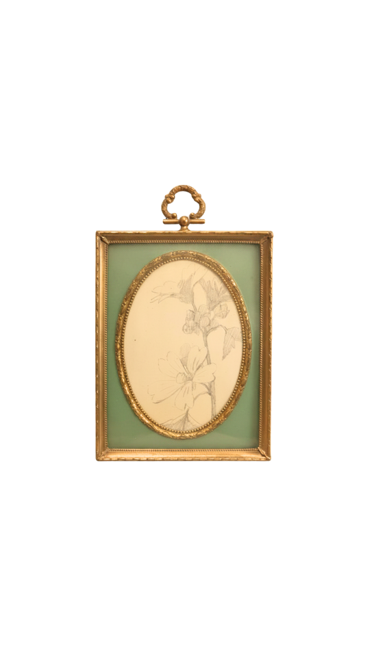 Vintage Frame with Antique French Botanical Pencil Sketch