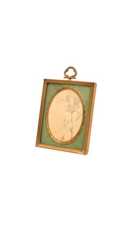 Vintage Frame with Antique French Botanical Pencil Sketch
