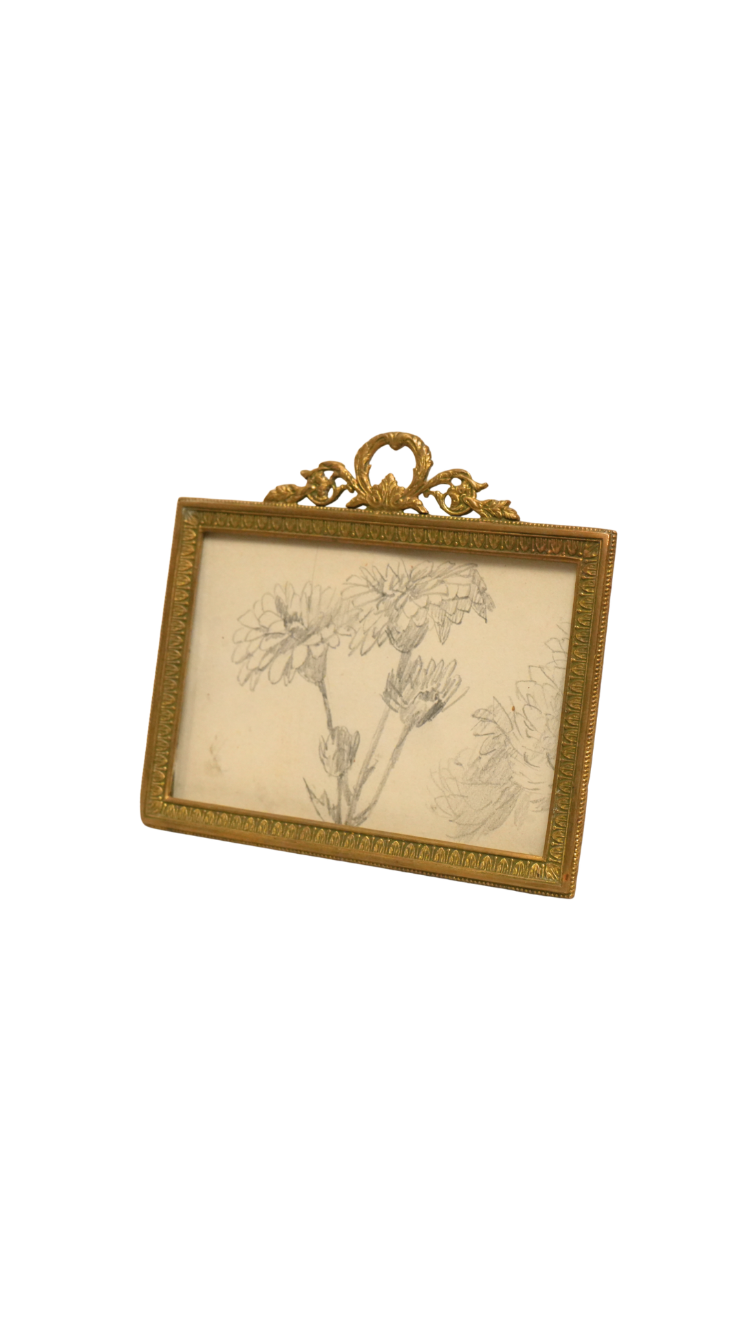 Antique French Gilt Frame with Botanical Pencil Sketch