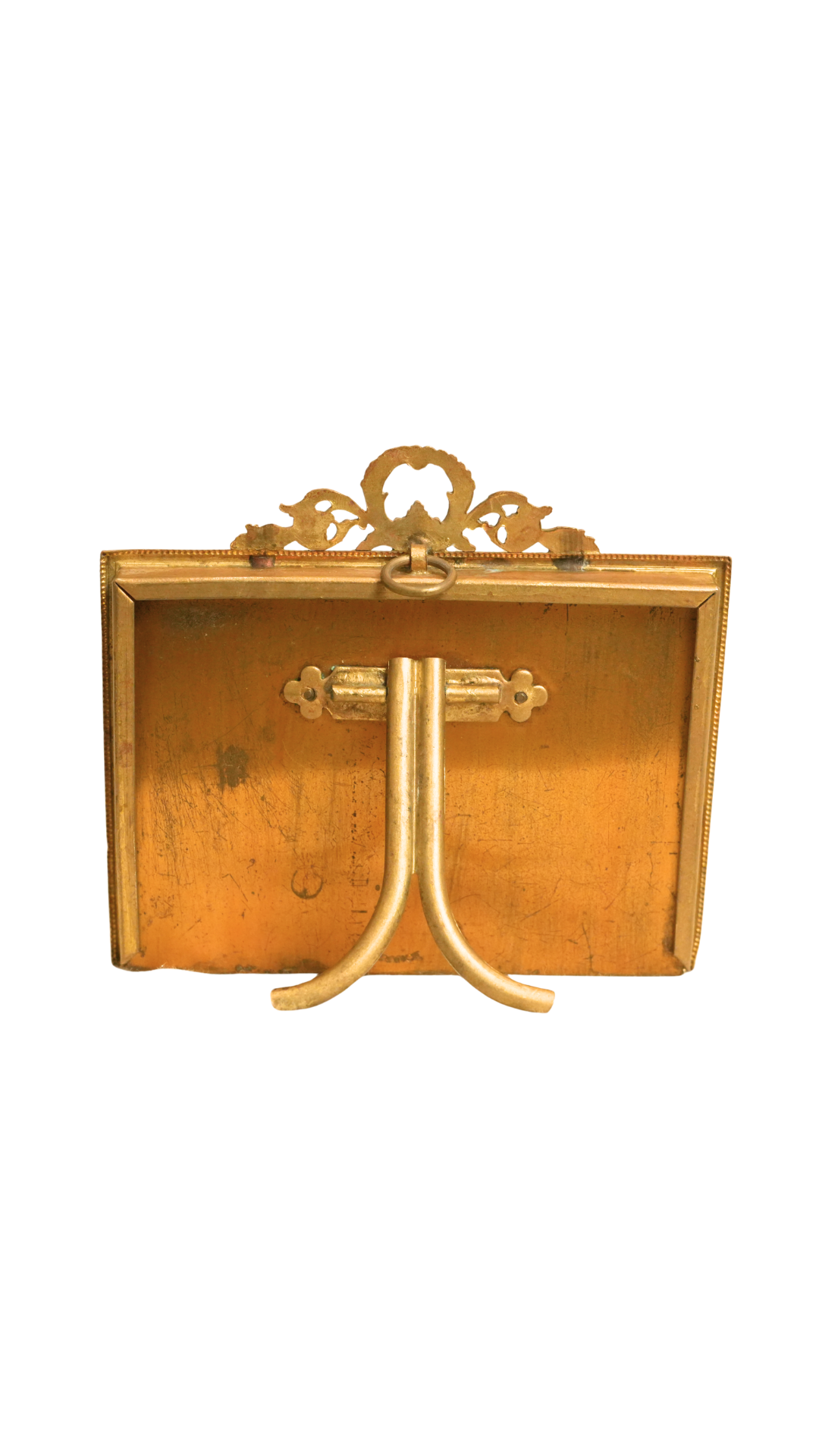 Antique French Gilt Frame with Botanical Pencil Sketch