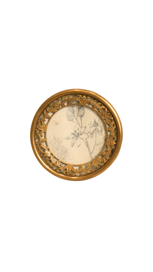 Vintage Gilt Frame with Antique French Botanical Pencil Sketch