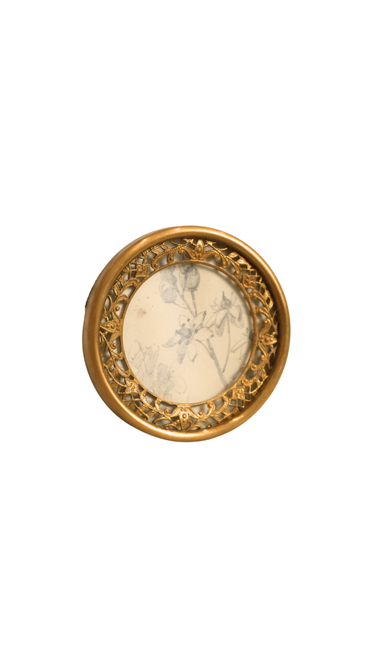 Vintage Gilt Frame with Antique French Botanical Pencil Sketch