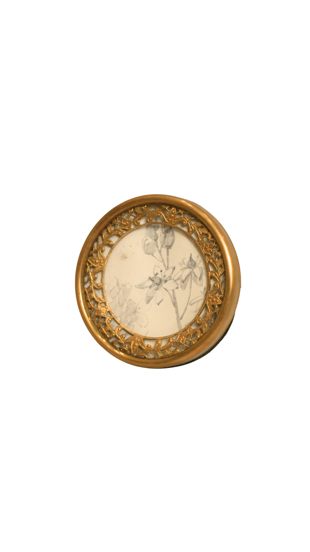 Vintage Gilt Frame with Antique French Botanical Pencil Sketch