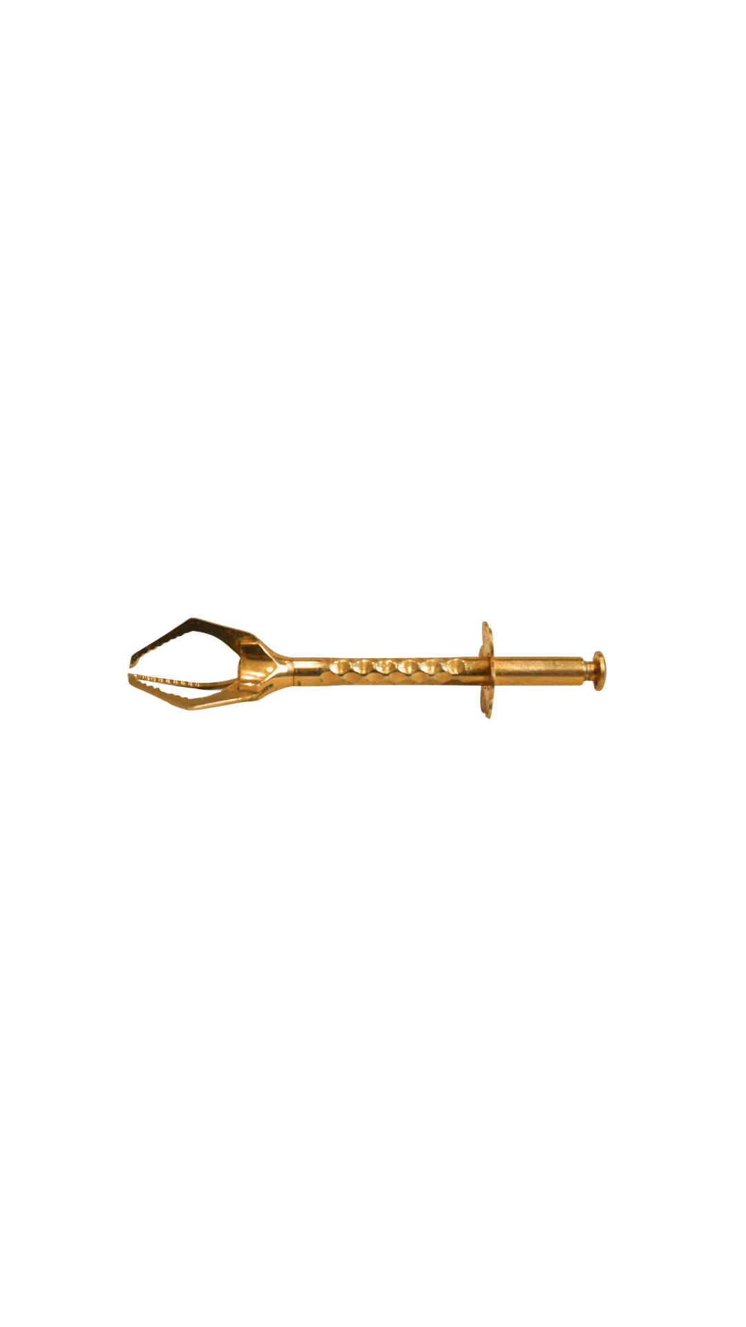 Small French Brass Serving Grabber