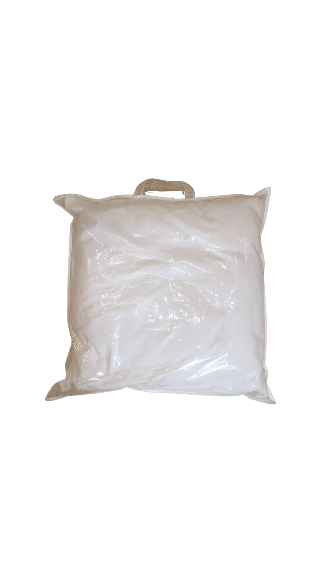 French Harmony Paris Floral Quilted Pillow Sham with Insert