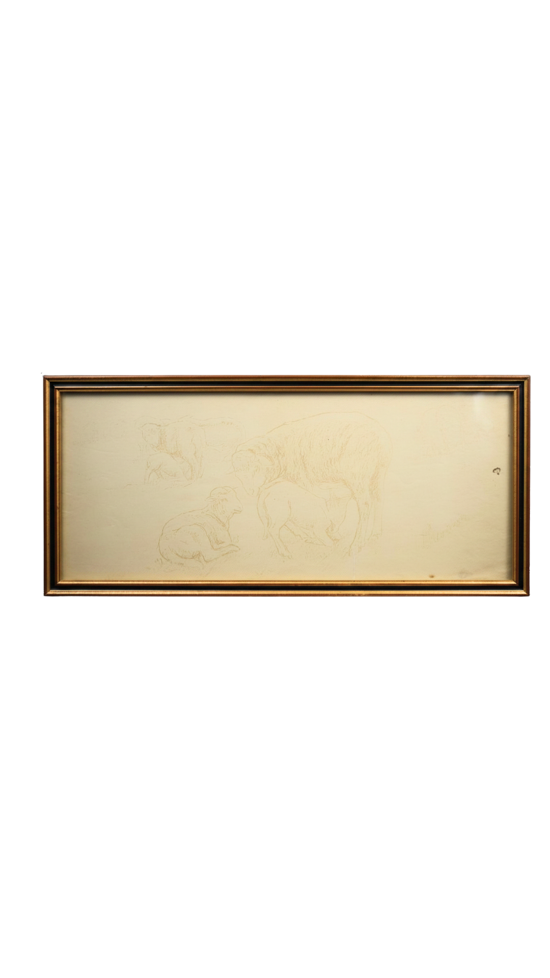 Signed French Sheep Study in Archival Frame