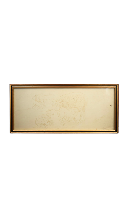 Signed French Sheep Study in Archival Frame