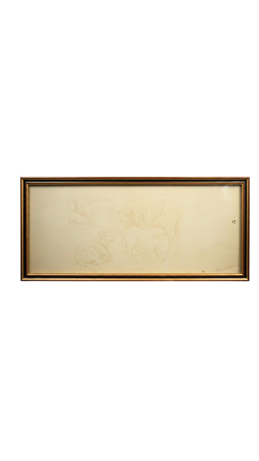 Signed French Sheep Study in Archival Frame