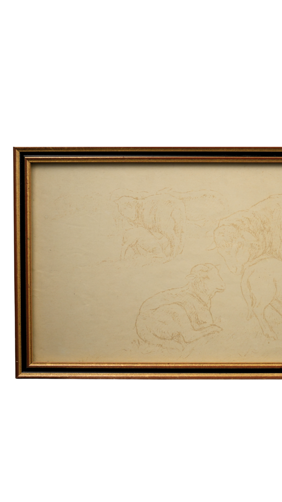 Signed French Sheep Study in Archival Frame