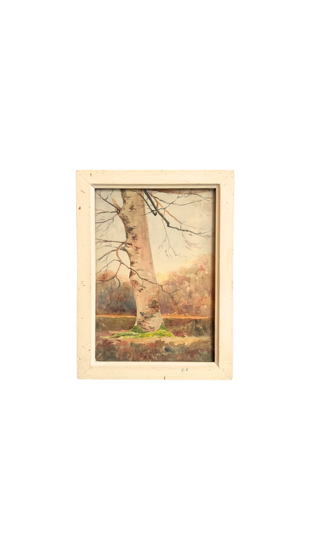 Antique French Watercolor Tree Study in Original Frame