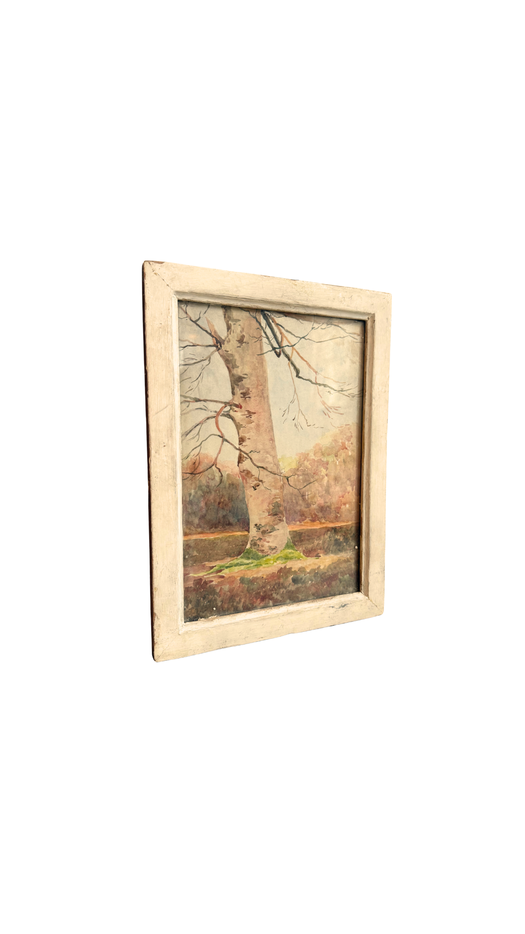 Antique French Watercolor Tree Study in Original Frame