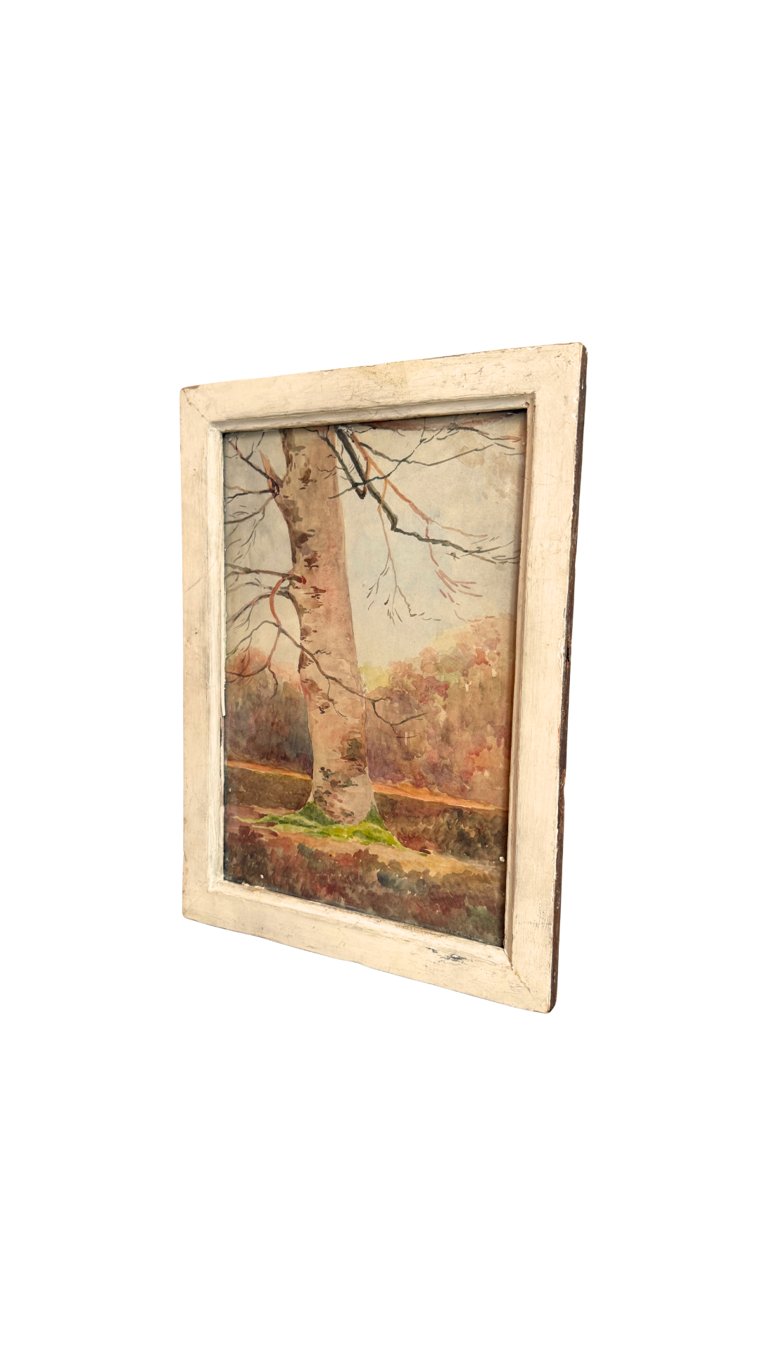 Antique French Watercolor Tree Study in Original Frame
