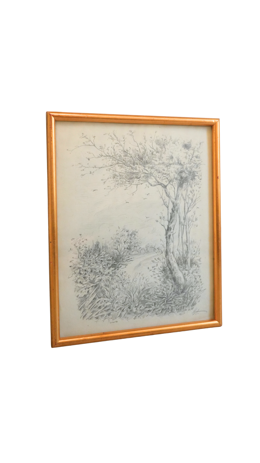Signed Vintage Pencil Landscape Drawing with Tree & River