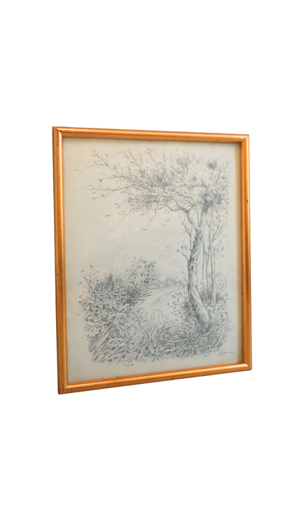 Signed Vintage Pencil Landscape Drawing with Tree & River