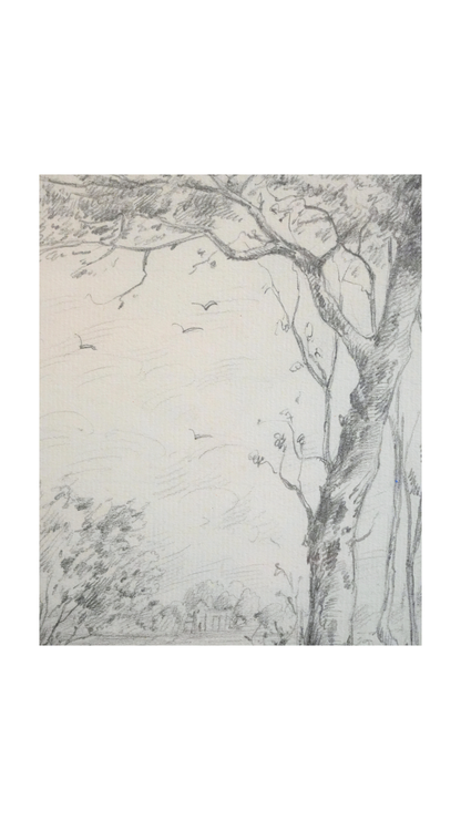 Signed Vintage Pencil Landscape Drawing with Tree & River