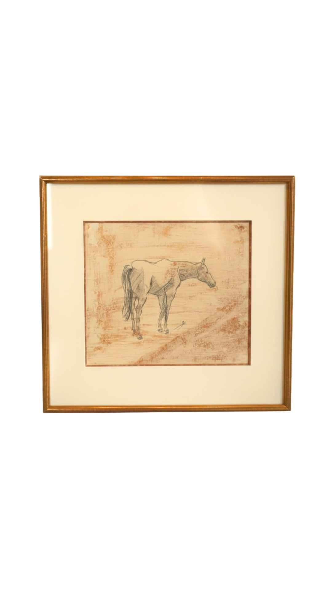 Original Framed Horse Study