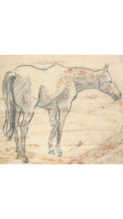 Original Framed Horse Study
