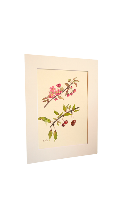 Original Botanical Watercolor of Malus with German Poem Verso