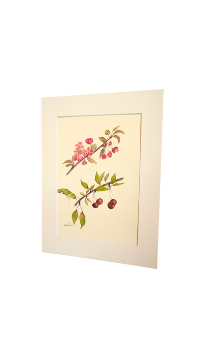 Original Botanical Watercolor of Malus with German Poem Verso