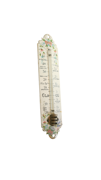 French Floral Porcelain Weather Thermometer