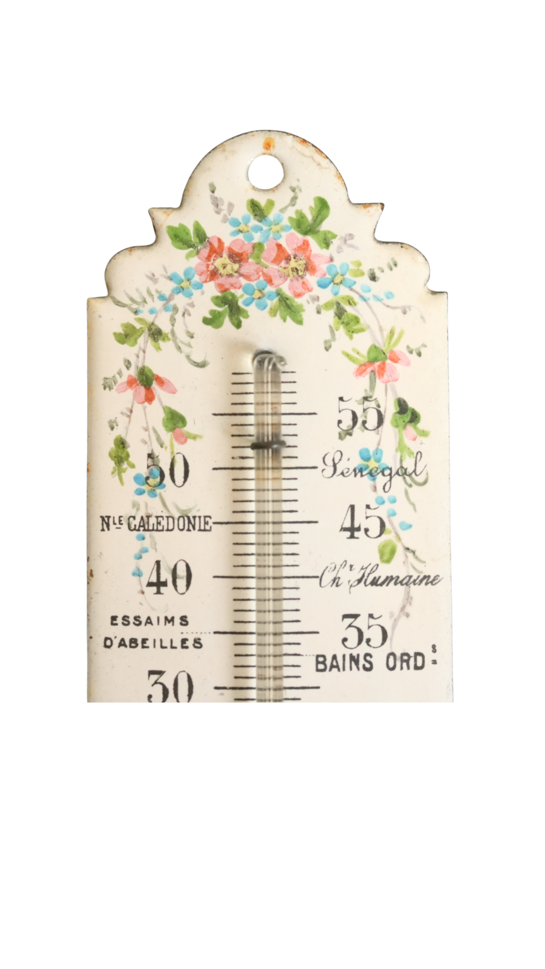 French Floral Porcelain Weather Thermometer