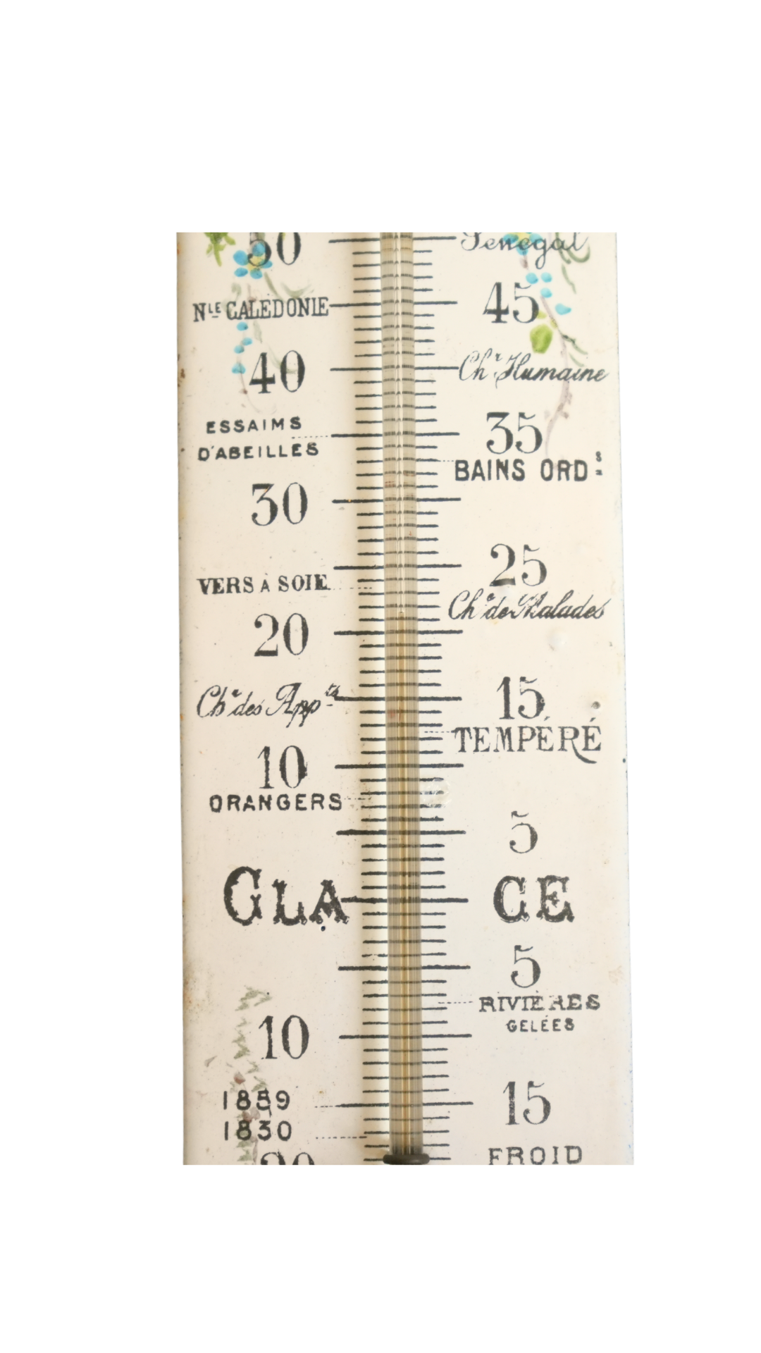 French Floral Porcelain Weather Thermometer