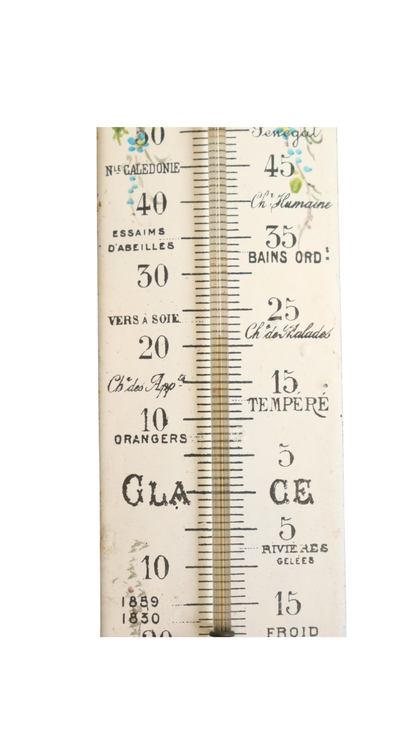 French Floral Porcelain Weather Thermometer
