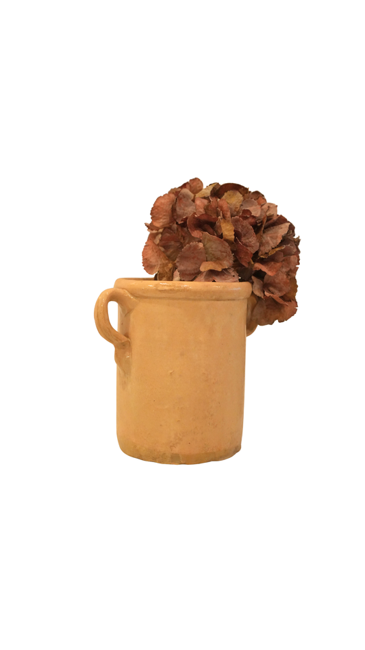 Antique French Yellow Sardine Pot
