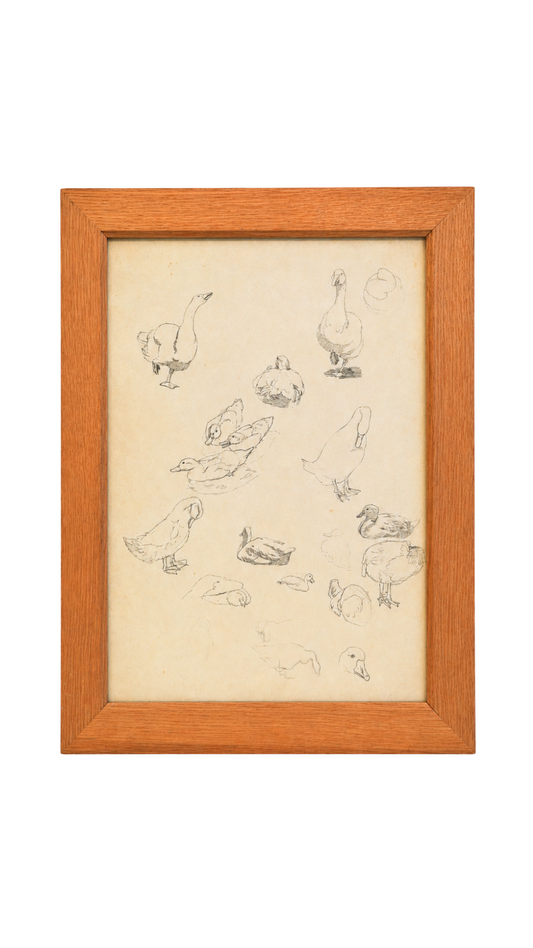 French Graphite Duck & Goose Study