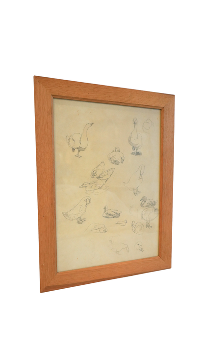 French Graphite Duck & Goose Study