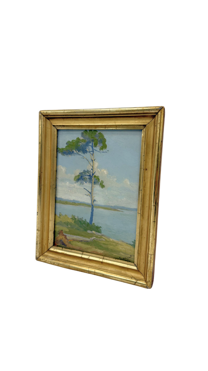 French Coastal Landscape