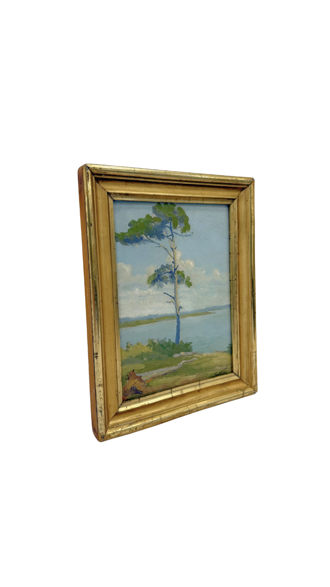 French Coastal Landscape