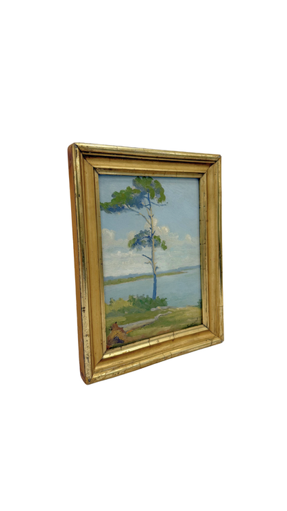 French Coastal Landscape