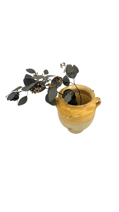 French Glazed Confit Pot