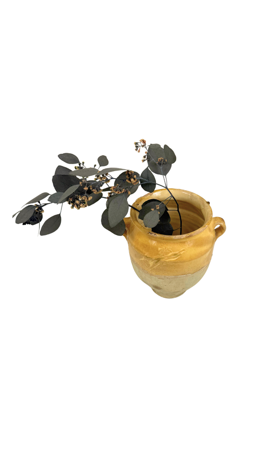 French Glazed Confit Pot