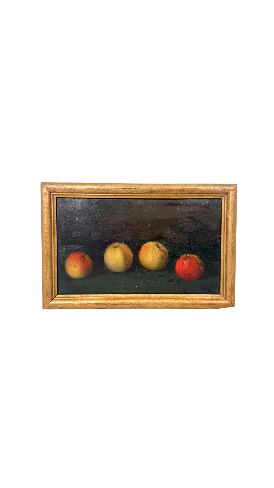 Still Life Oil Painting